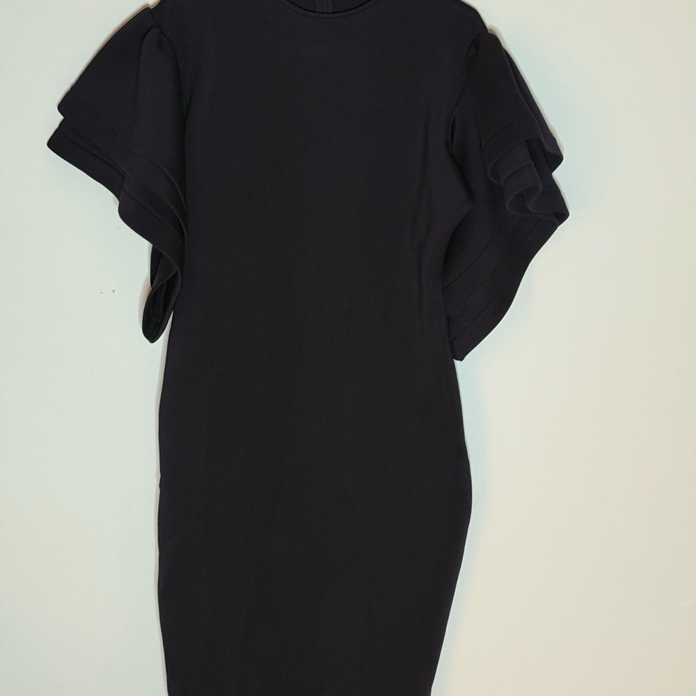 Elegant Black Ruffle Sleeve Dress